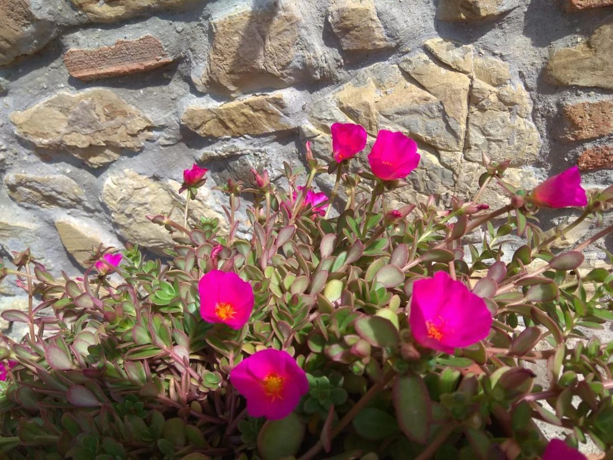 La Magnolia Bed & Breakfast Greve in Chianti Ngoại thất bức ảnh