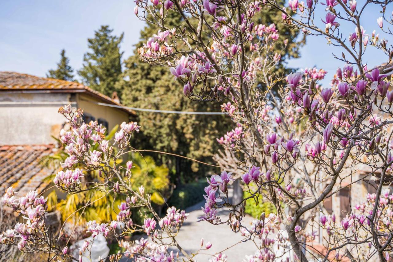 La Magnolia Bed & Breakfast Greve in Chianti Ngoại thất bức ảnh