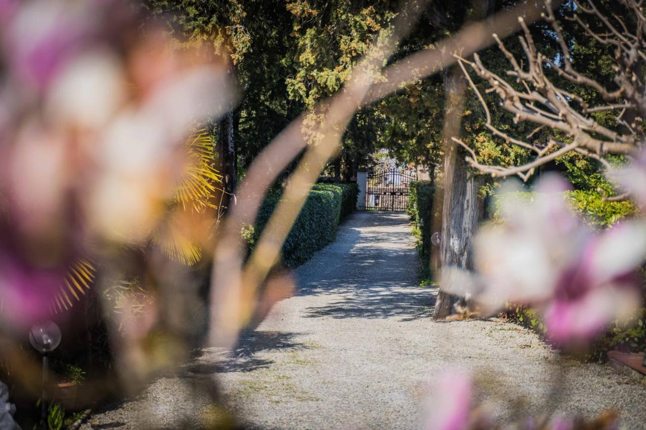 La Magnolia Bed & Breakfast Greve in Chianti Ngoại thất bức ảnh