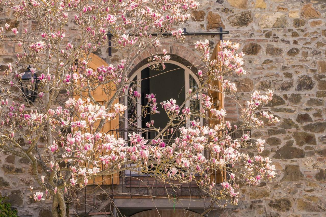 La Magnolia Bed & Breakfast Greve in Chianti Ngoại thất bức ảnh